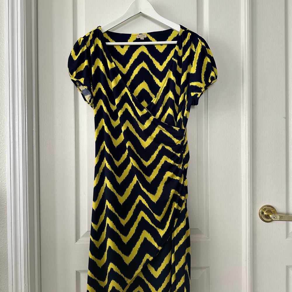 Daniel Cremieux dress size: Large